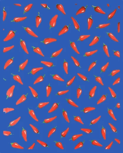 Toile cirée mexicaine bleu Piments rouges - Tienda Esquipulas